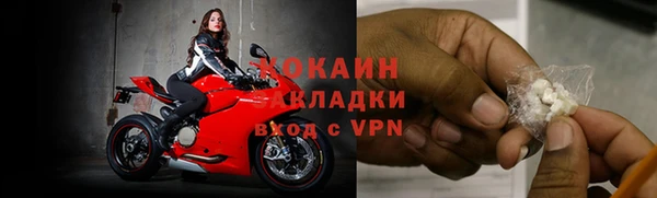 мяу мяу мука Арсеньев