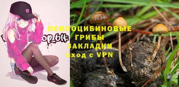 мяу мяу мука Арсеньев