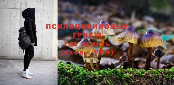 мяу мяу мука Армянск