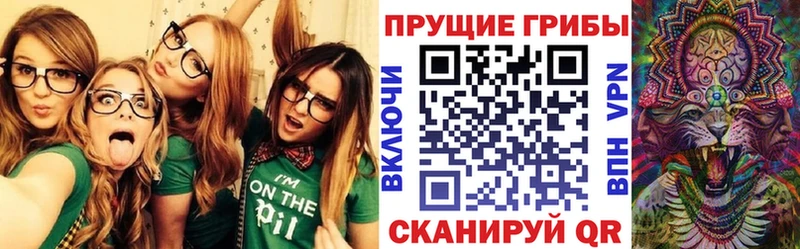 Купить  Кореновск  Галлюциногенные грибы Cubensis 
